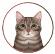 GATTO GRIGIO CIOTOLA